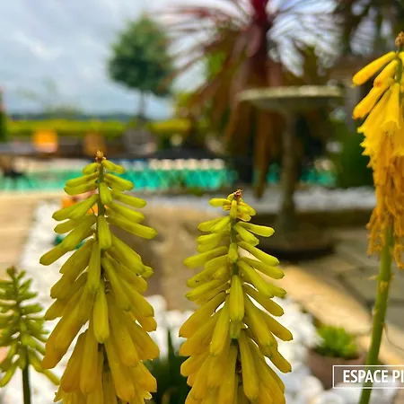 Merkel - 28 Pers - 11 Chambr - 10 Wc - Piscine 빌라