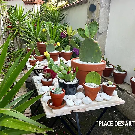 빌라 Merkel - 28 Pers - 11 Chambr - 10 Wc - Piscine *