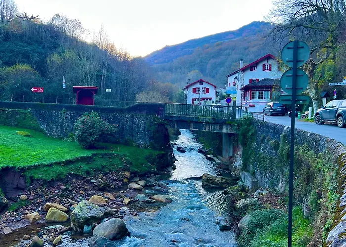 Art-villa Merkel - 28 Pers - 11 Chambr - 10 Wc - Piscine * Anglet