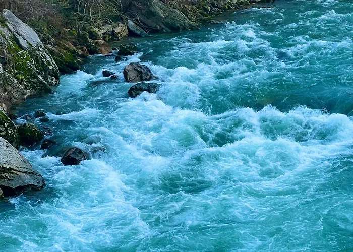 Art-villa Merkel - 28 Pers - 11 Chambr - 10 Wc - Piscine Villa